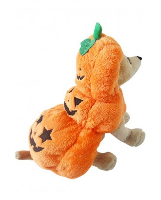 Orange Cute Pumpkin Pet Dog Halloween Apparel